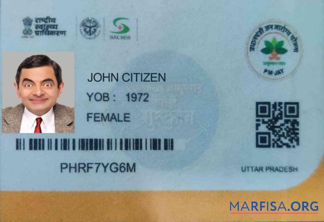 Realistic India Uttar Pradesh medical card sample